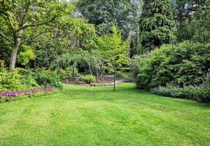 Optimiser l'expérience du jardin à Belverne